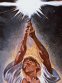 forward grip